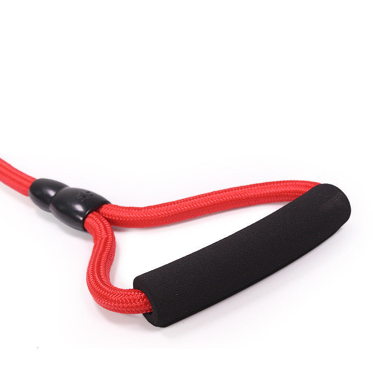 Dog Walking Traction Rope