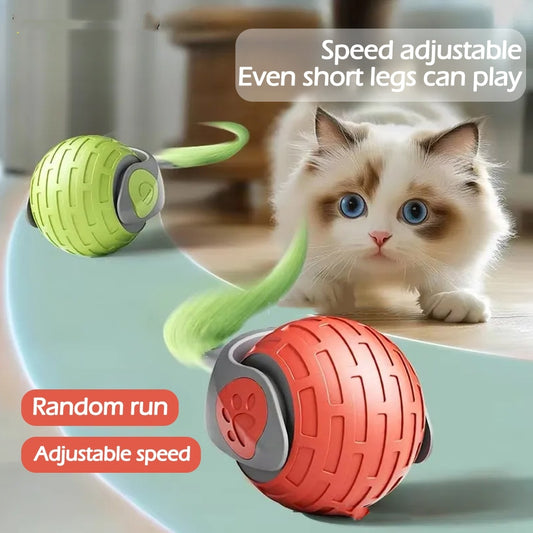 Auto Electric Rolling Ball
