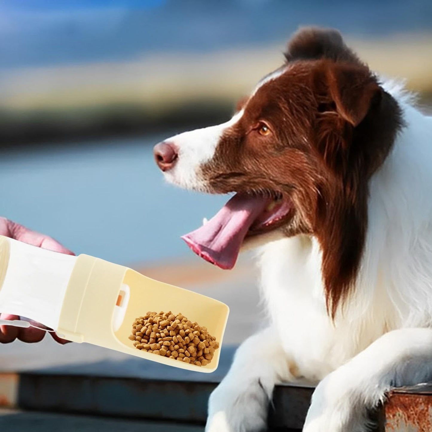 2 In 1 Travel Dog Water Bottle